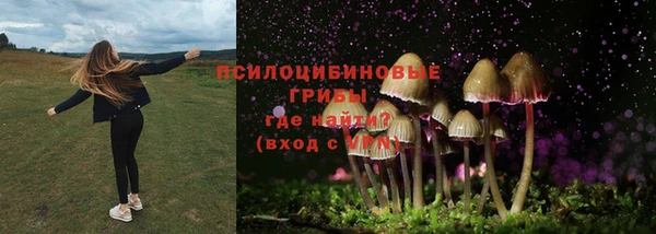 каннабис Куйбышев
