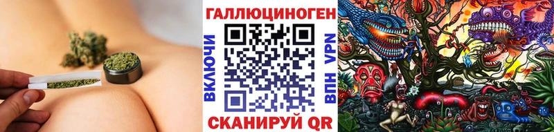 Псилоцибиновые грибы Cubensis  купить наркоту  Новосибирск 