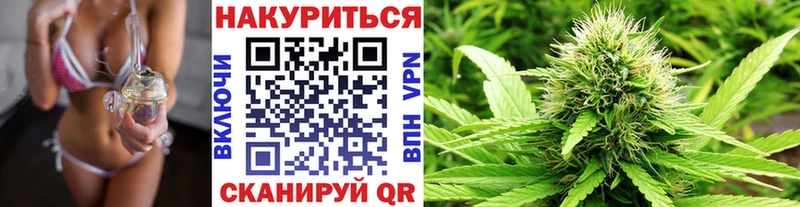 Бошки марихуана THC 21%  цены   Новосибирск 